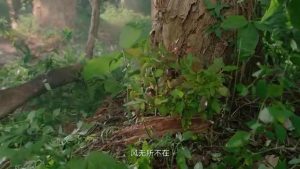 仁和集团2024版宣传片